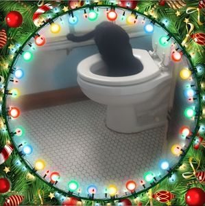 Meet your Posher, Gary